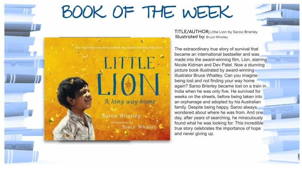 Book Of The Week - Little Lion By Saroo Brierley & Illustrated by Bruce Whatley