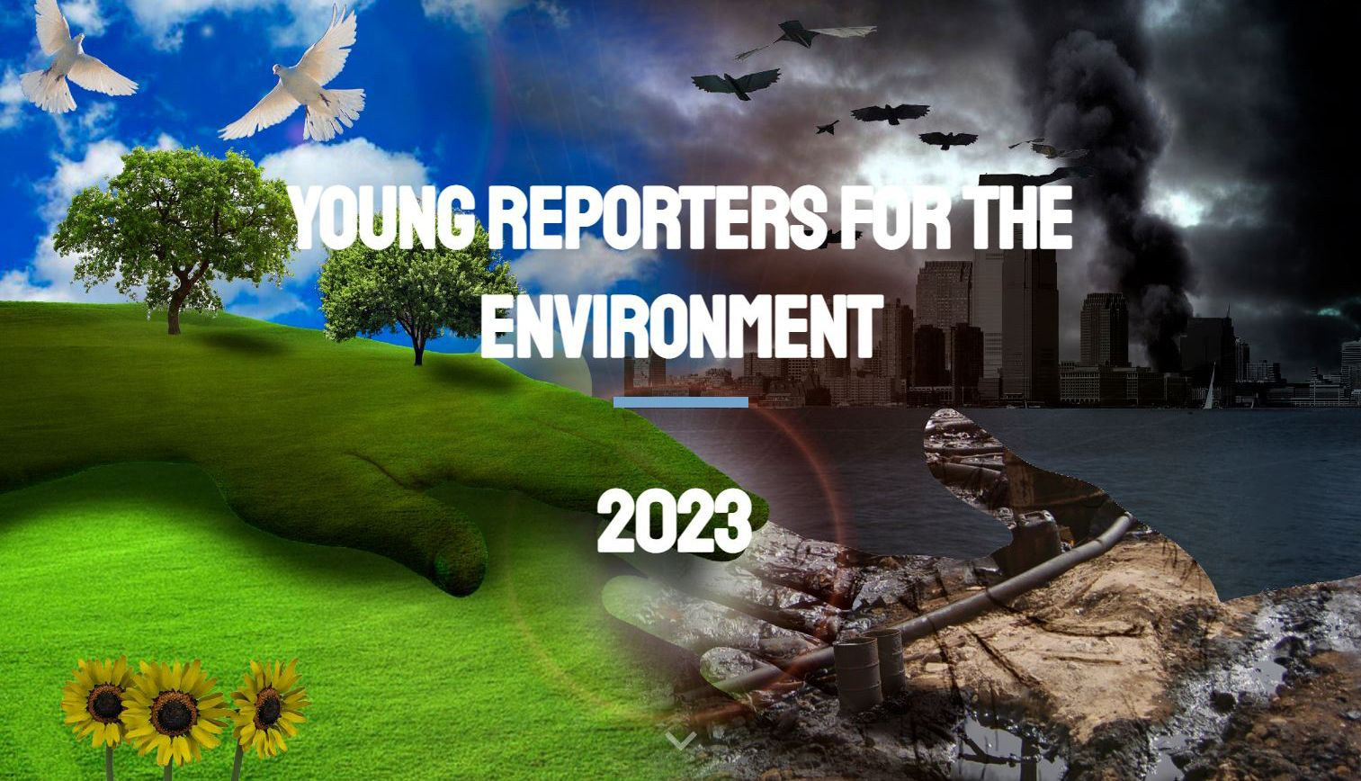 Young Reporters for the Environment Competition