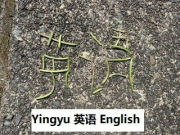 Yingyu (english)