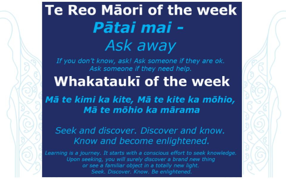 Te Reo Māori, Whakataukī & Words of the Week 