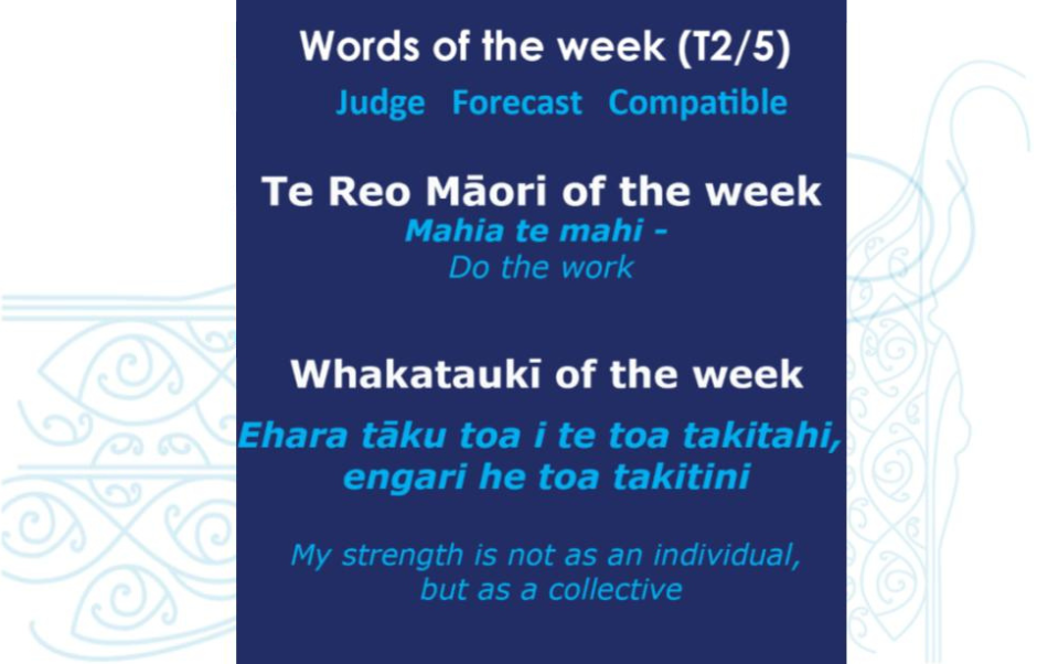 Te Reo Māori, Whakataukī & Words of the Week