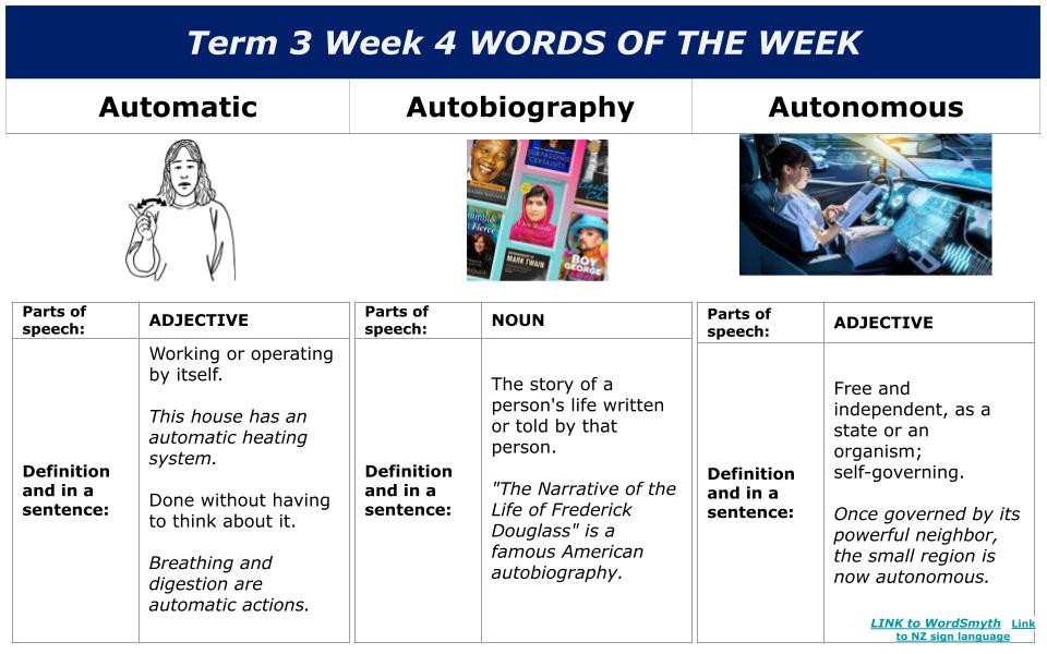 Term 3   Wiki 4    One Stop  (1)