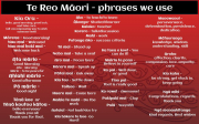 Te Reo Māori, Whakataukī & Words of the Week