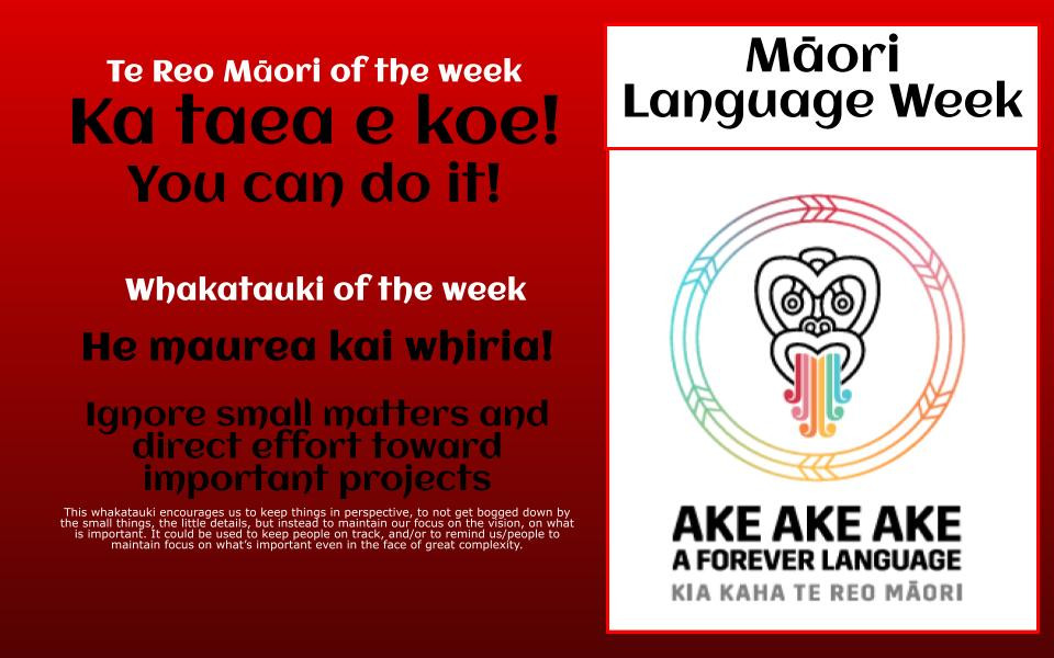 Te Reo Māori, Whakataukī & Words of the Week