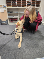 Pax the Guide Dog Visits our School