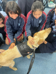 Pax the Guide Dog Visits our School