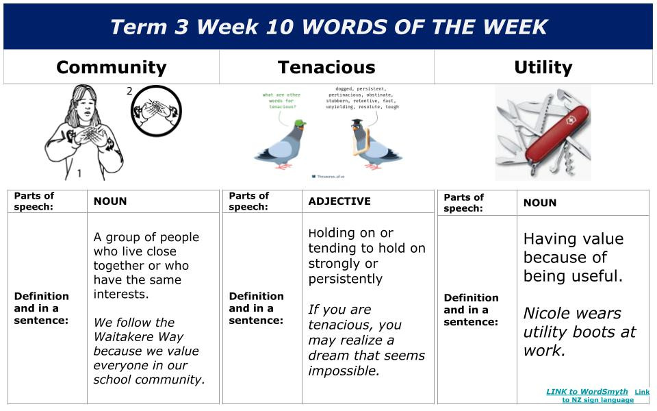 Term 3   Wiki 10    One Stop  (1)