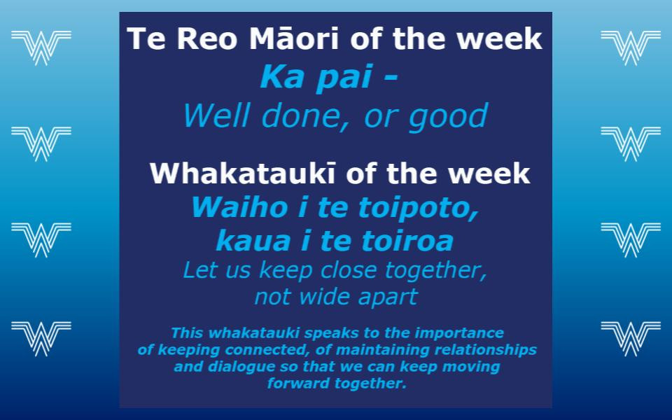 Te Reo Māori, Whakataukī & Words of the Week