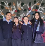 Waitākere College Dominates Regional YES Finals: Four of Six Teams Selected