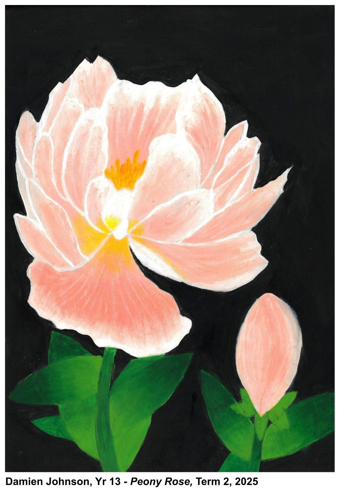 Damien Johnson, Yr 13   Newsletter (2)