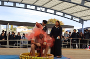 Img 4728
