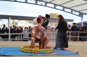 Img 4737