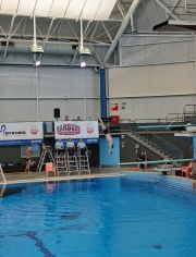 Auckland Secondary School Diving Championships