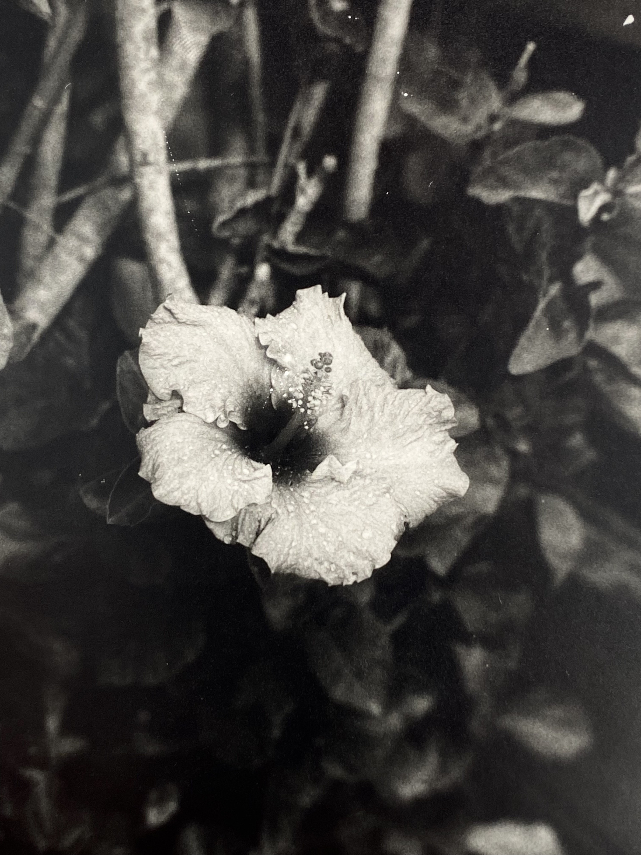 Photography Club