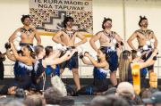 Ngā Pae Maunga o Waitākere