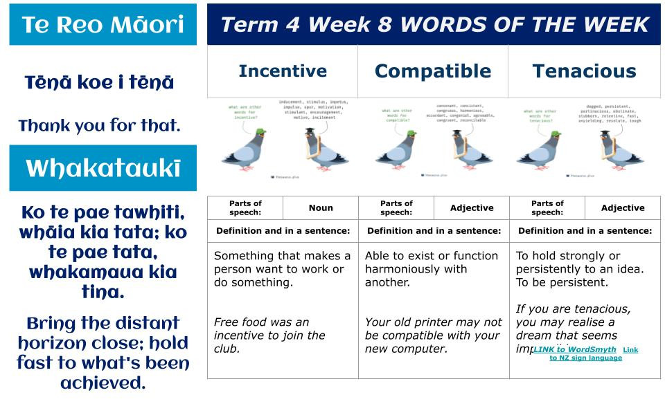 Te Reo Māori, Whakataukī & Words of the Week for Week 8