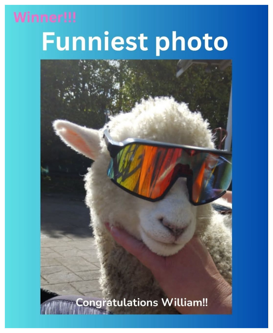 Congratulations to William Plunkett: Winner in the 