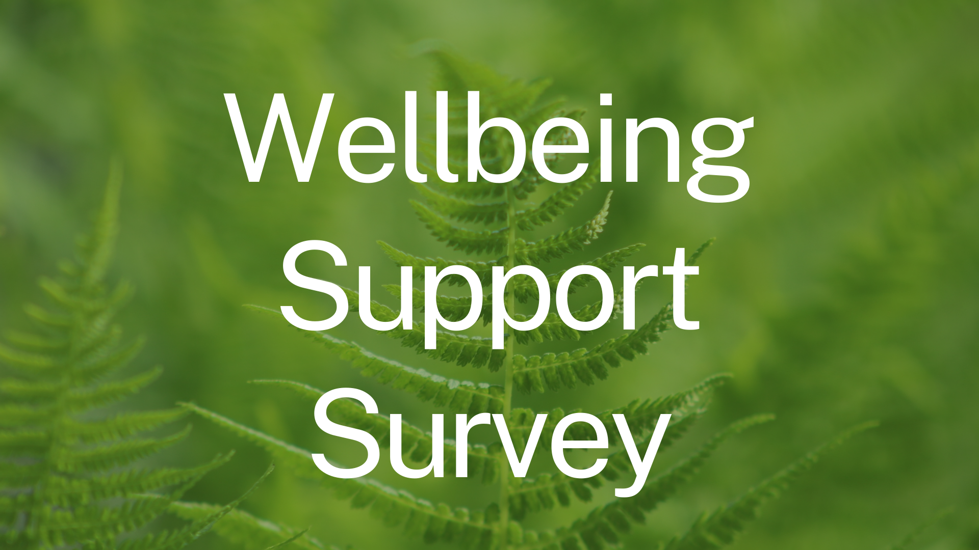 Wellbeing Support at Waitākere College