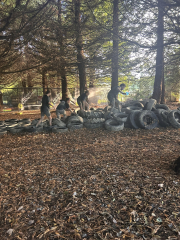 Action Matakana Camp
