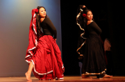 Celebrating Roma Culture: The Legacy of the 2026 Polyfest Group
