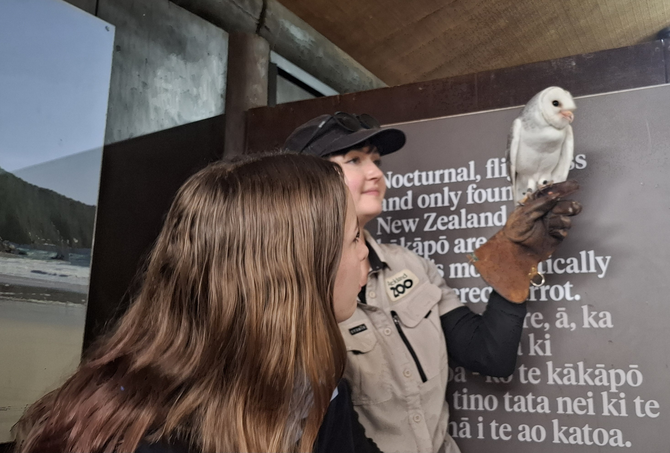 Year 10 Zoology Explores Auckland Zoo