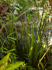 Year 10 Zoology Explores Auckland Zoo