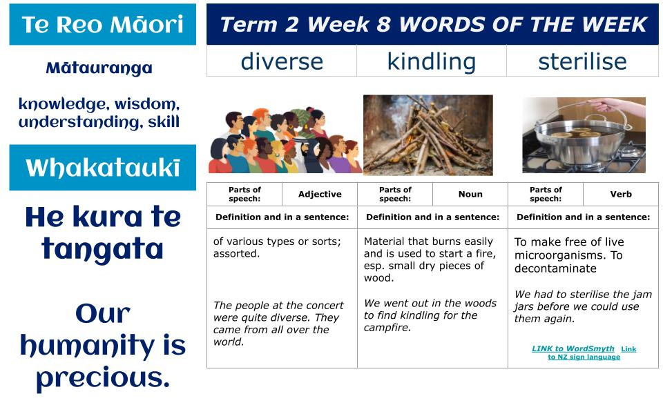 Te Reo Māori, Whakataukī & Words of the Week for Week 8