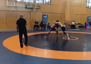 Wrestling 3 (1)