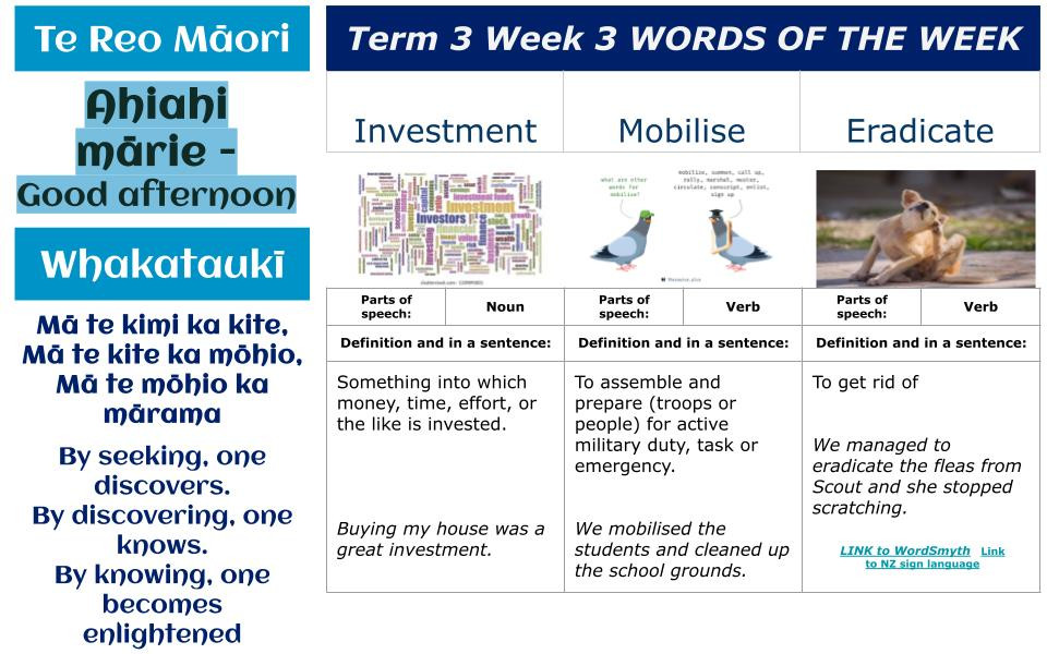 Te Reo Māori, Whakataukī & Words of the Week for Week 3