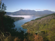 Img 7658