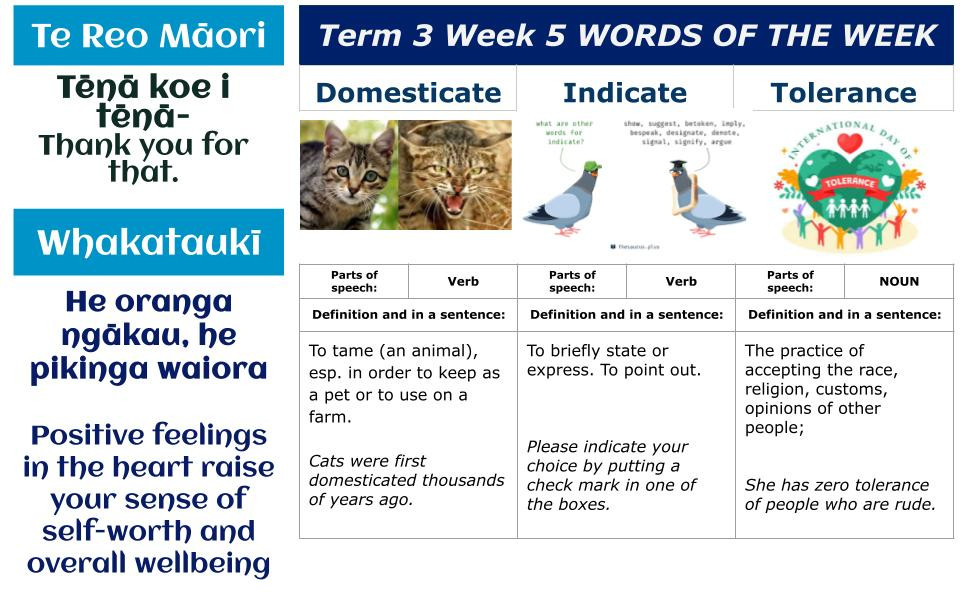Te Reo Māori, Whakataukī & Words of the Week for Week 5